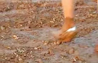 Trụy lạc chuyển phim sẽ x nhat ban đi săn, còn âm vật xuất tinh.
